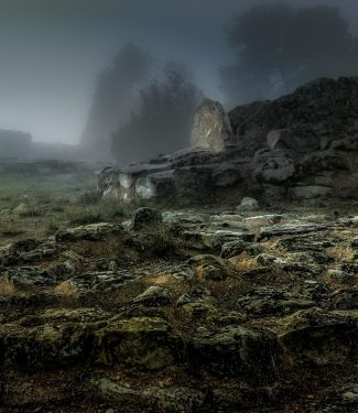 1er Premio. 'Emanaciones'. Alfredo Sanz Almalé.