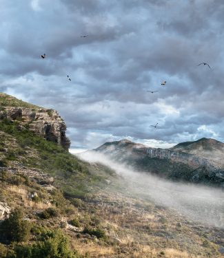 1er Premio. 'Tierra Mística'. Juan Carlos Peguero Baeta.
